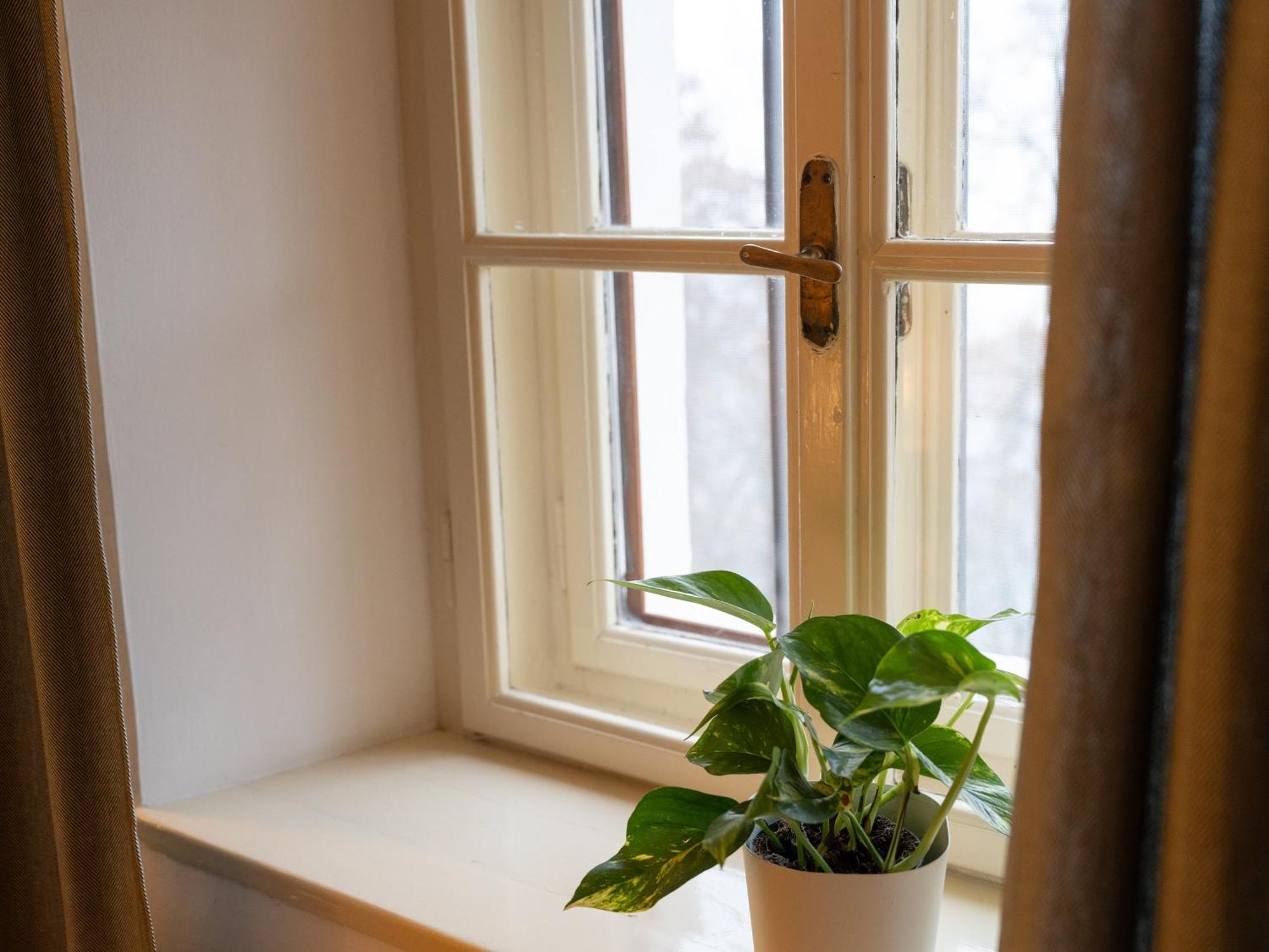 Eden Apartment ソプラボルツァーノ エクステリア 写真